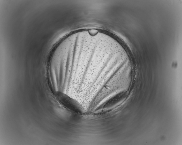 X0000096171407200802081400