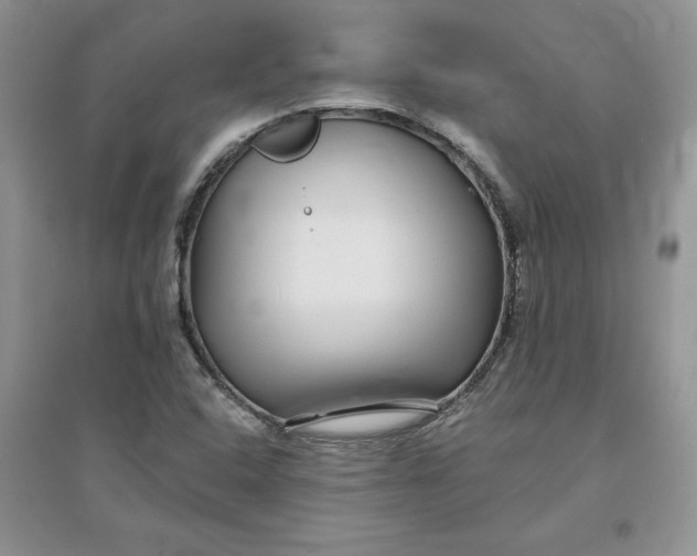 X0000096171408200802081400