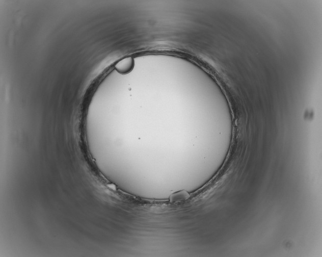 X0000096171410200802081400