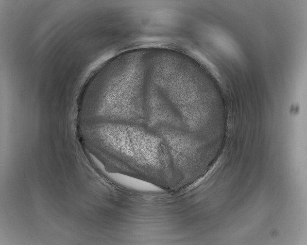 X0000096171411200802081400