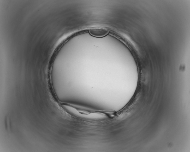 X0000096171412200802081400