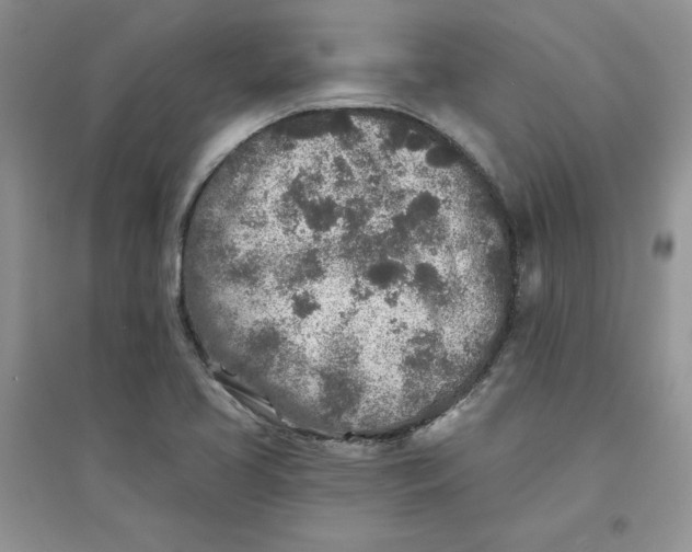 X0000096171413200802081401