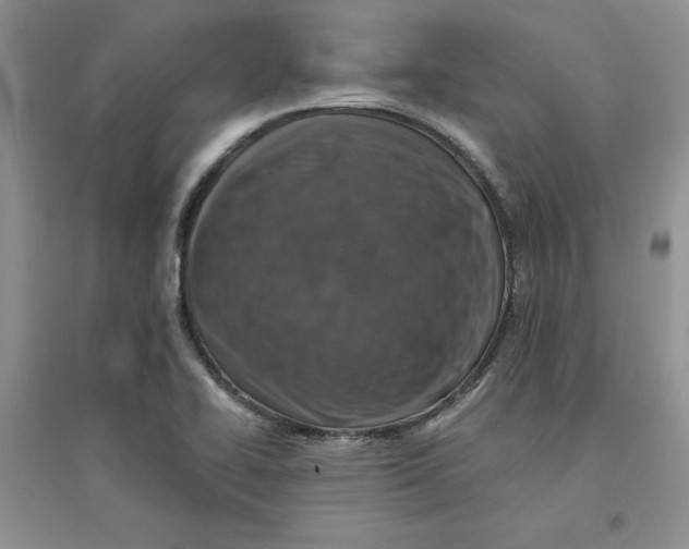 X0000096171414200802081401