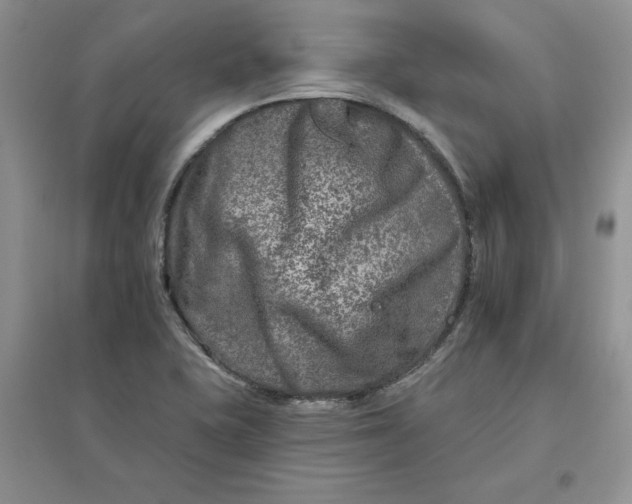 X0000096171415200802081401