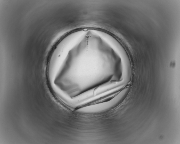 X0000096171416200802081401