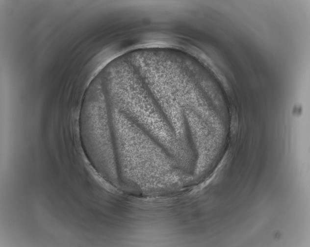 X0000096171417200802081401