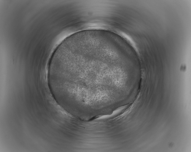 X0000096171419200802081401