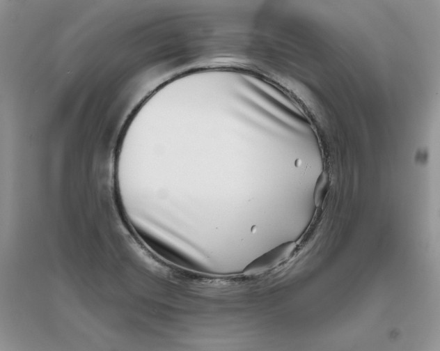 X0000096171420200802081401