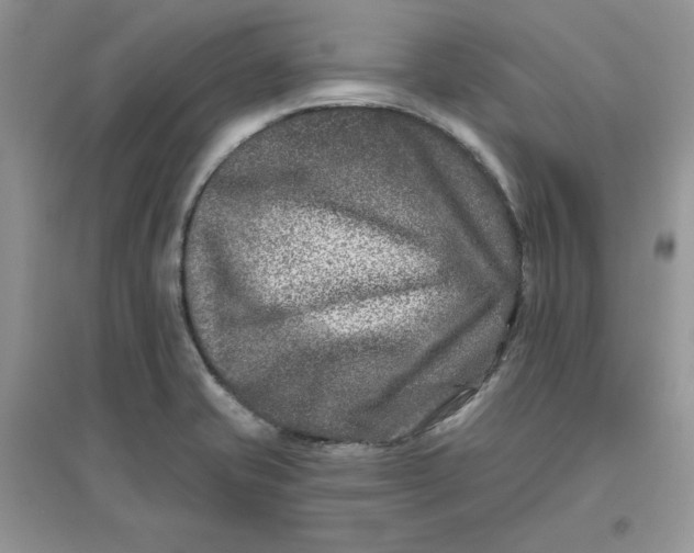 X0000096171421200802081401