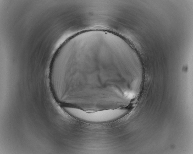 X0000096171422200802081401