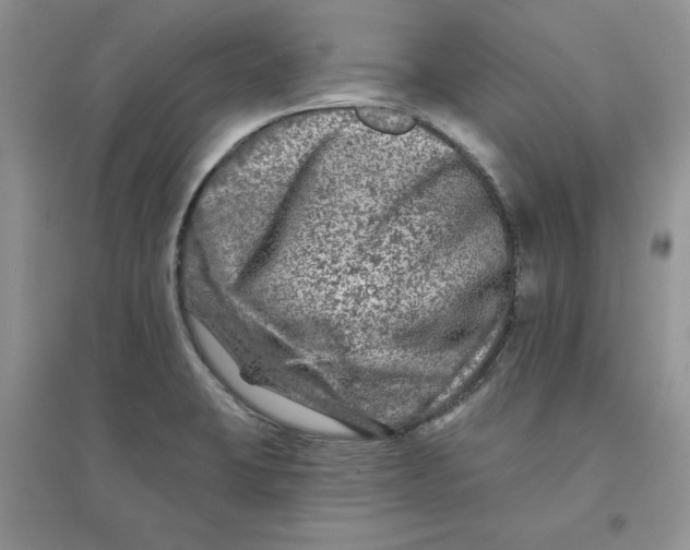 X0000096171423200802081401