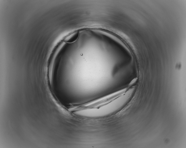 X0000096171424200802081401