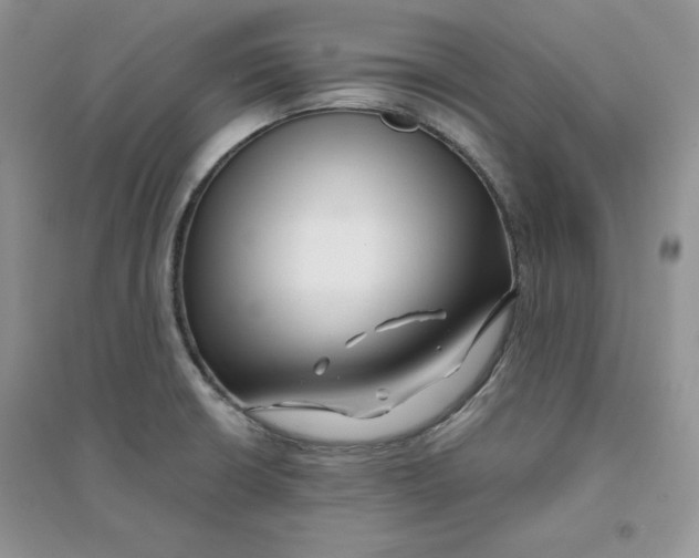 X0000096171426200802081401