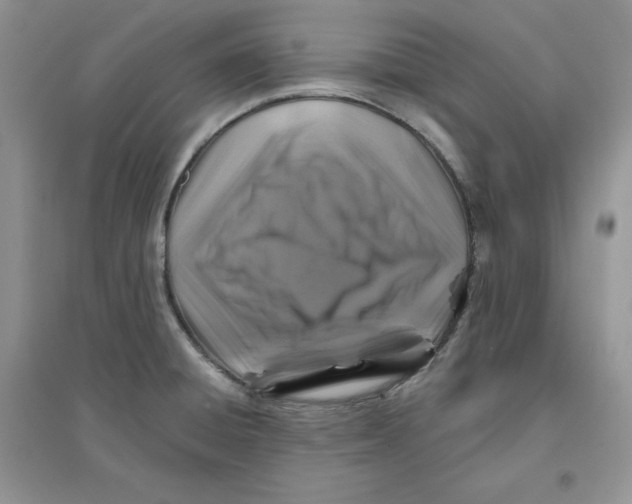 X0000096171428200802081401