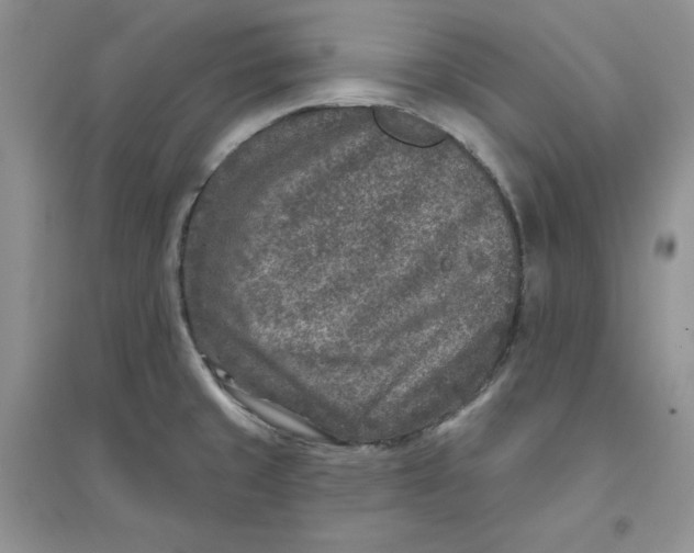 X0000096171429200802081401