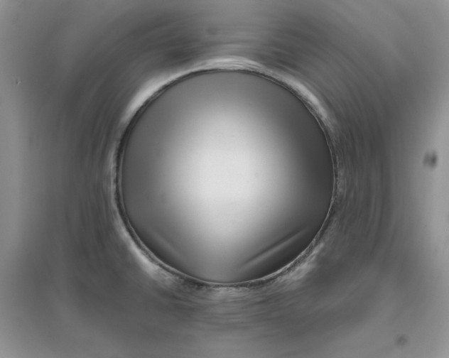 X0000096171430200802081401