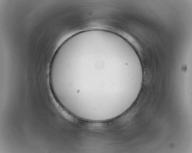 X0000096171431200802081401