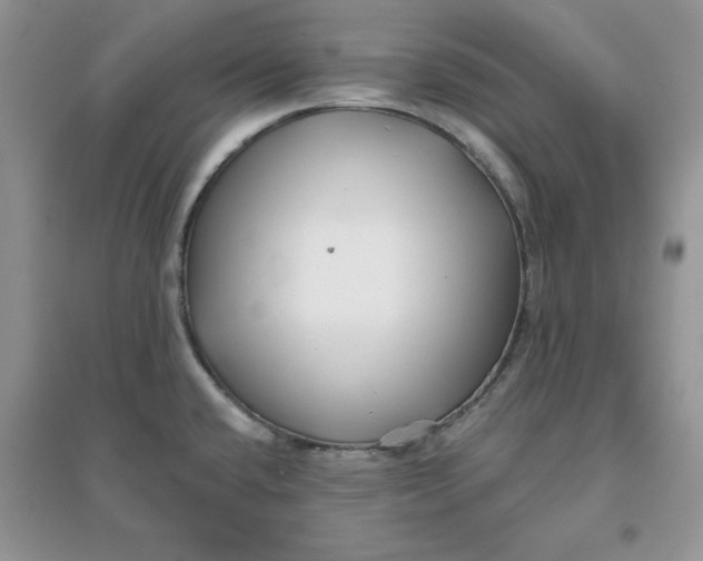 X0000096171432200802081401