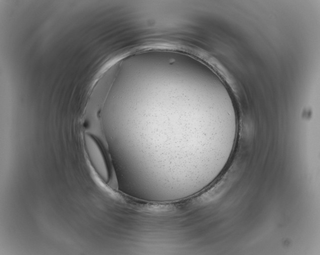 X0000096171433200802081401