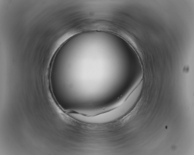 X0000096171434200802081401