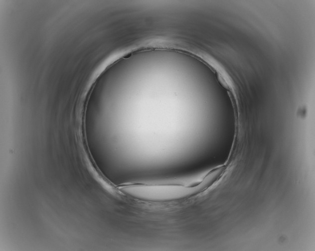 X0000096171437200802081401