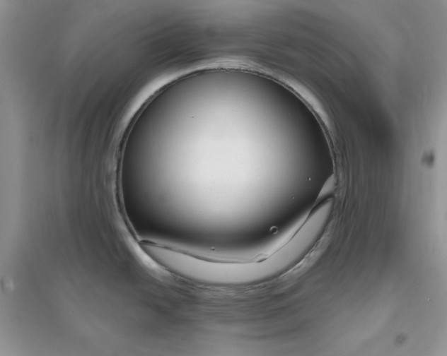 X0000096171438200802081401