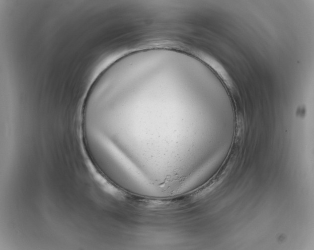 X0000096171439200802081401