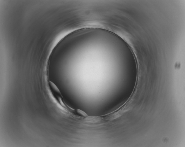 X0000096171440200802081401