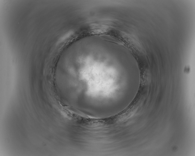 X0000096171441200802081400