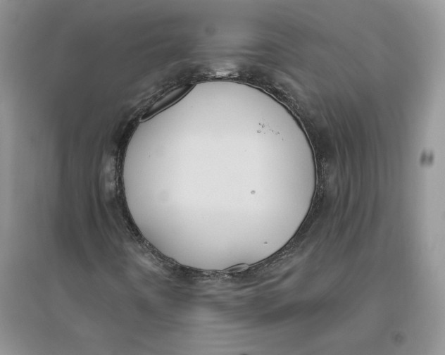 X0000096171442200802081400