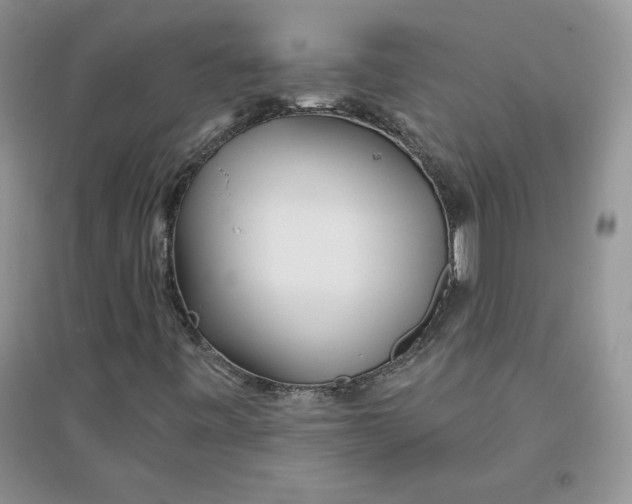 X0000096171443200802081400