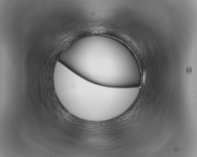 X0000096171444200802081400