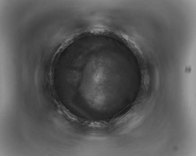 X0000096171445200802081400