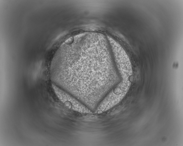 X0000096171446200802081400