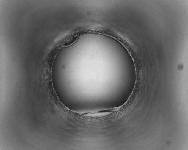 X0000096171447200802081400