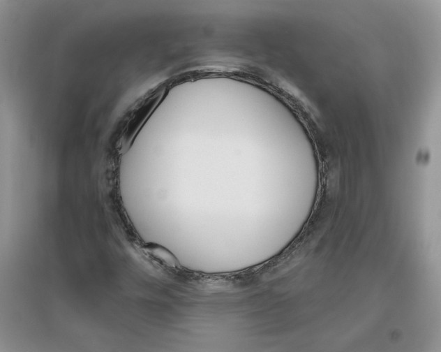 X0000096171448200802081400