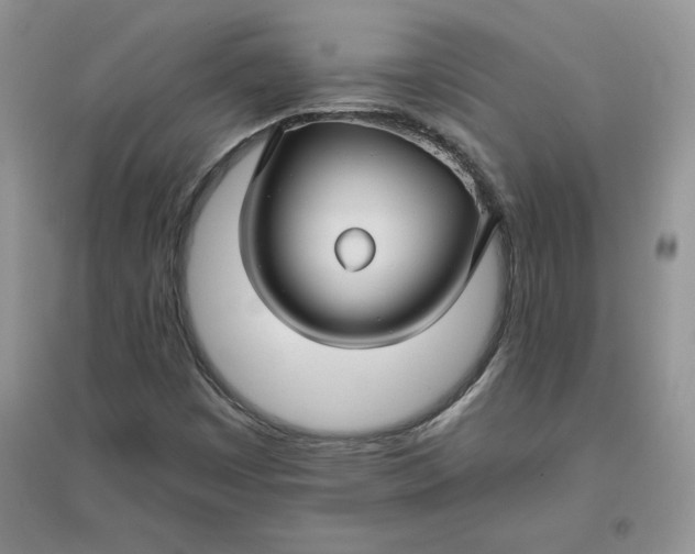 X0000096171449200802081400