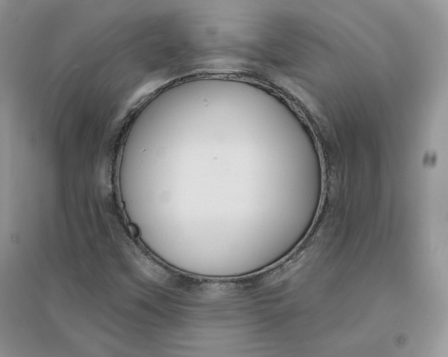 X0000096171451200802081400