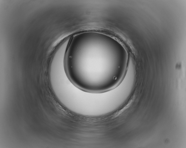 X0000096171453200802081400