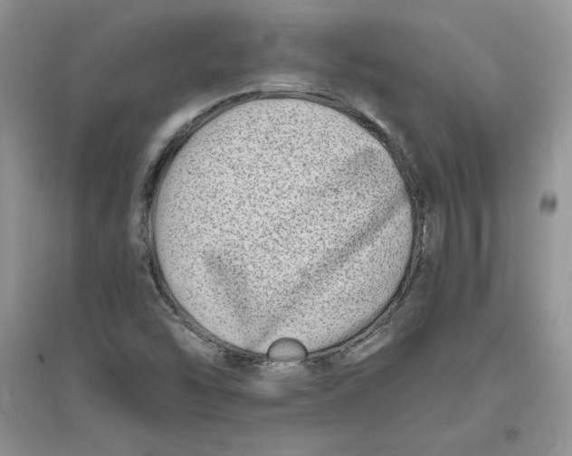 X0000096171454200802081400