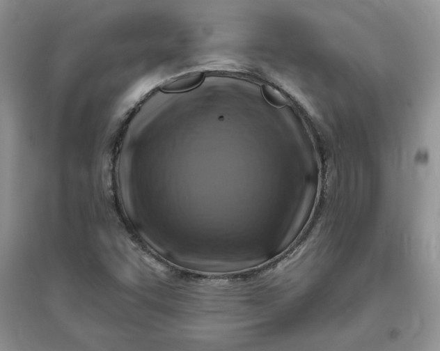 X0000096171455200802081400