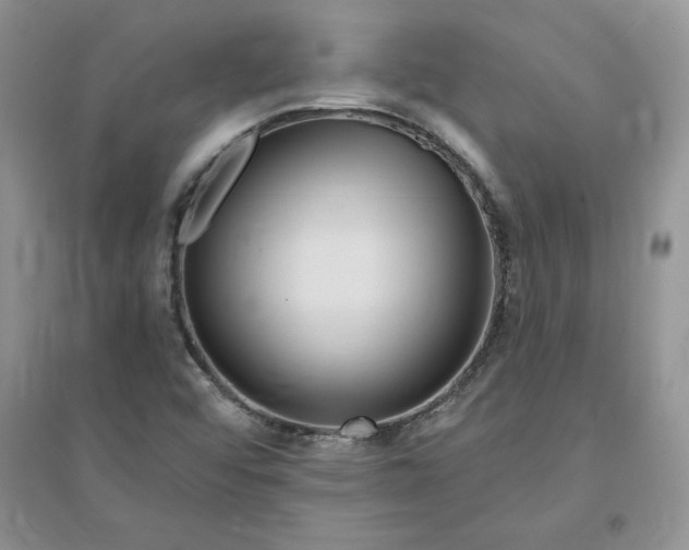 X0000096171456200802081400