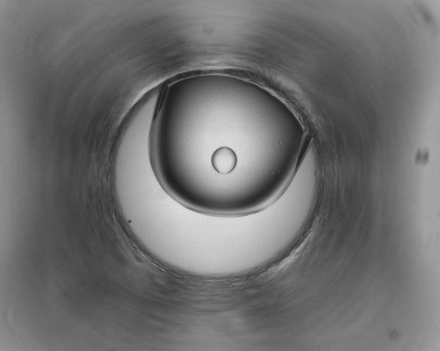 X0000096171457200802081400