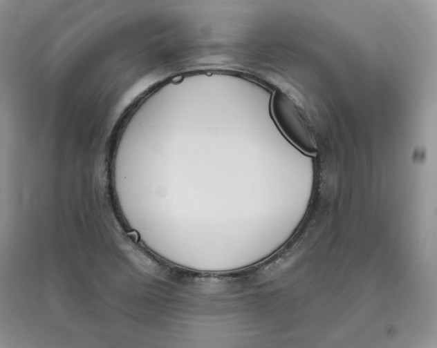 X0000096171458200802081400