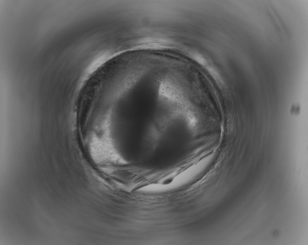 X0000096171459200802081400