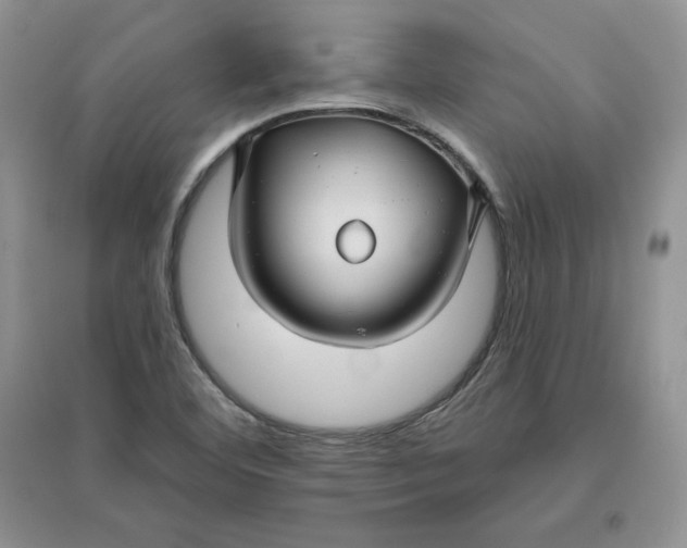 X0000096171460200802081400