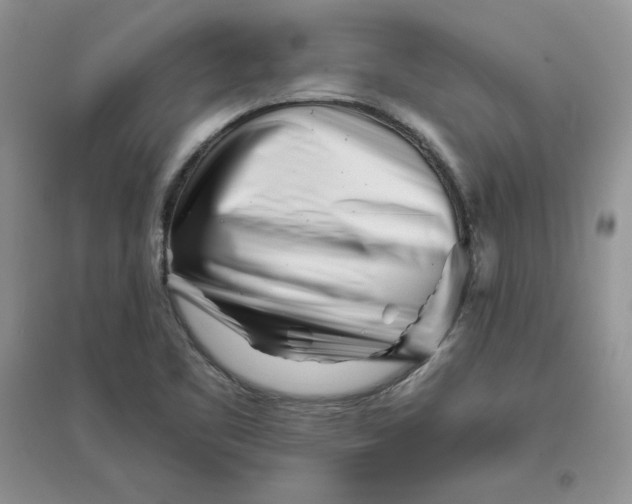 X0000096171461200802081400