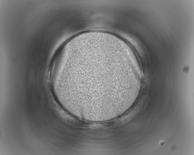 X0000096171462200802081400