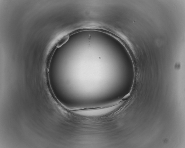 X0000096171464200802081400