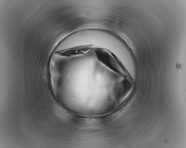 X0000096171465200802081400